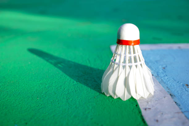 Jasa pemasangan lapangan badminton Malang